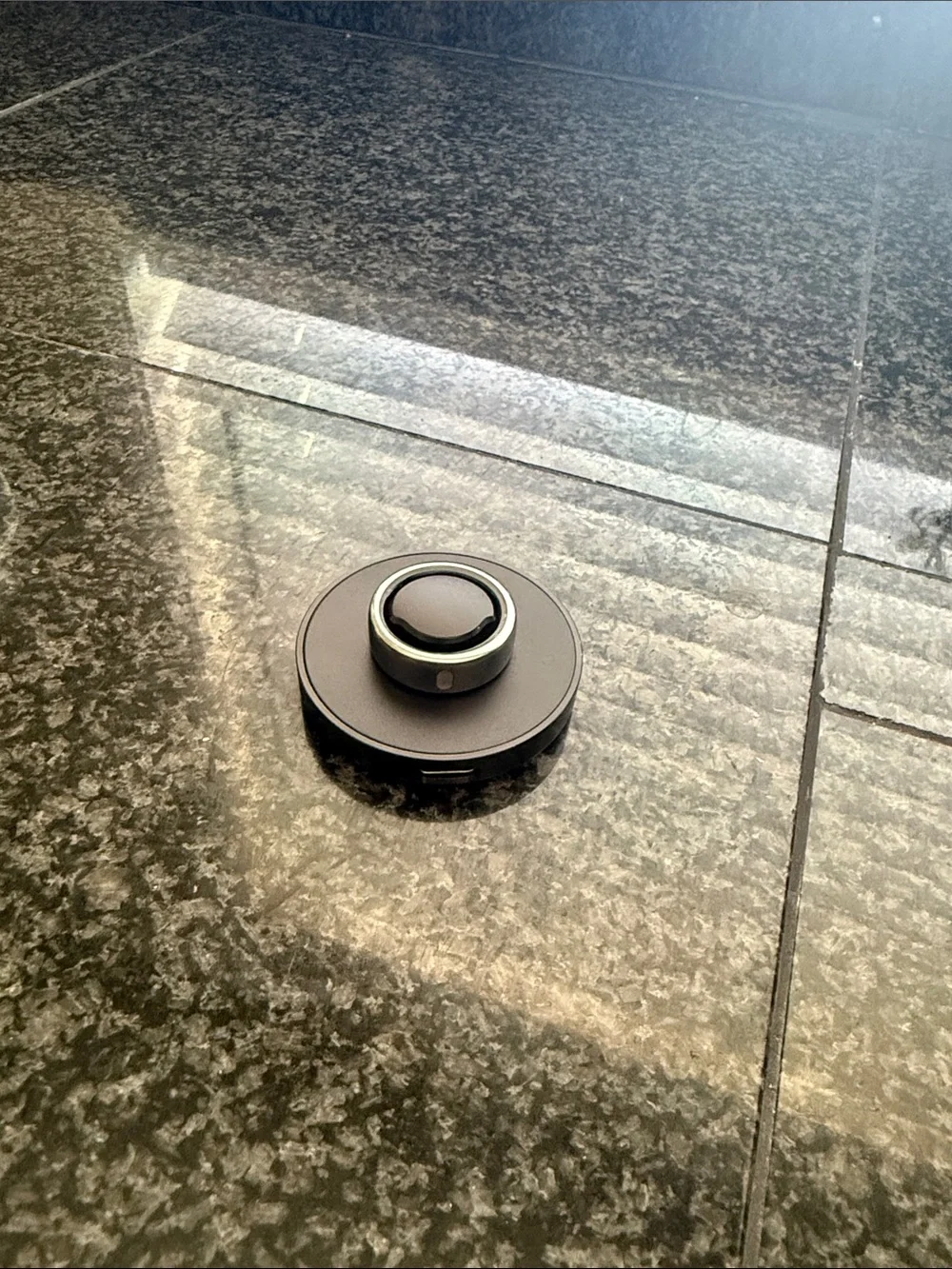 Oura Ring 3 Horizon Silver Size 8